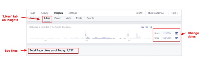 Measuring-Social-Media-Facebook-Likes
