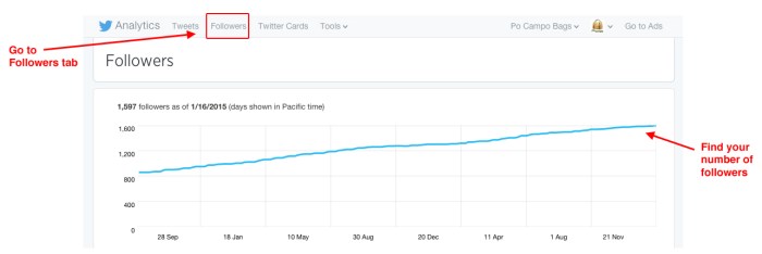 Measuring-Social-Media-Twitter-Followers